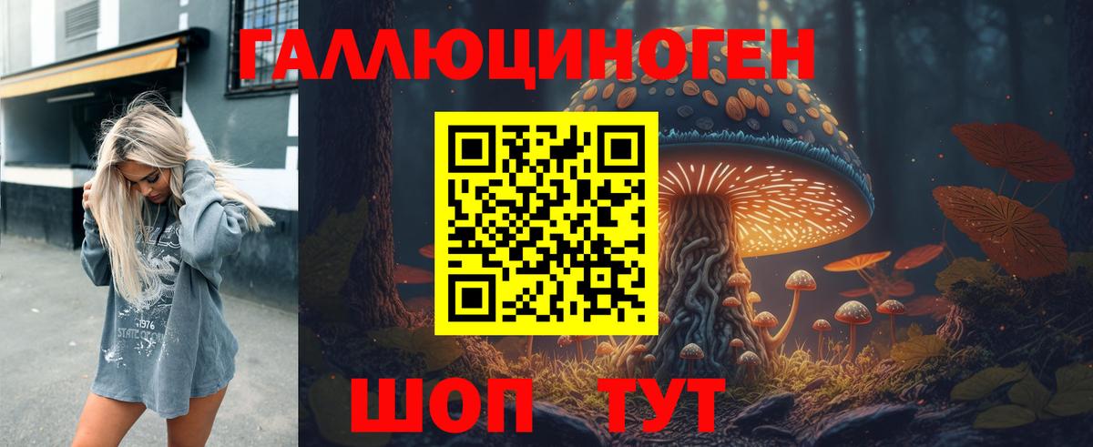 Псилоцибиновые грибы мицелий Боровичи