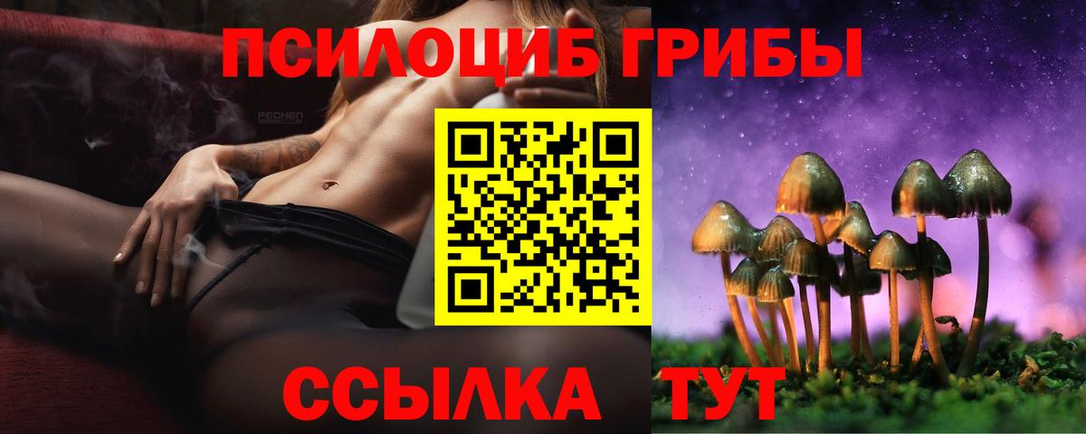 Псилоцибиновые грибы Cubensis  Вход с VPN  Псилоцибиновые грибы мицелий  Боровичи 